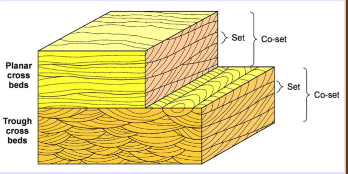 <p>Sets are one unit of planar, cross bedded, or cross stratified sediment. A bed with more than one set of the same structure is a co-set</p>