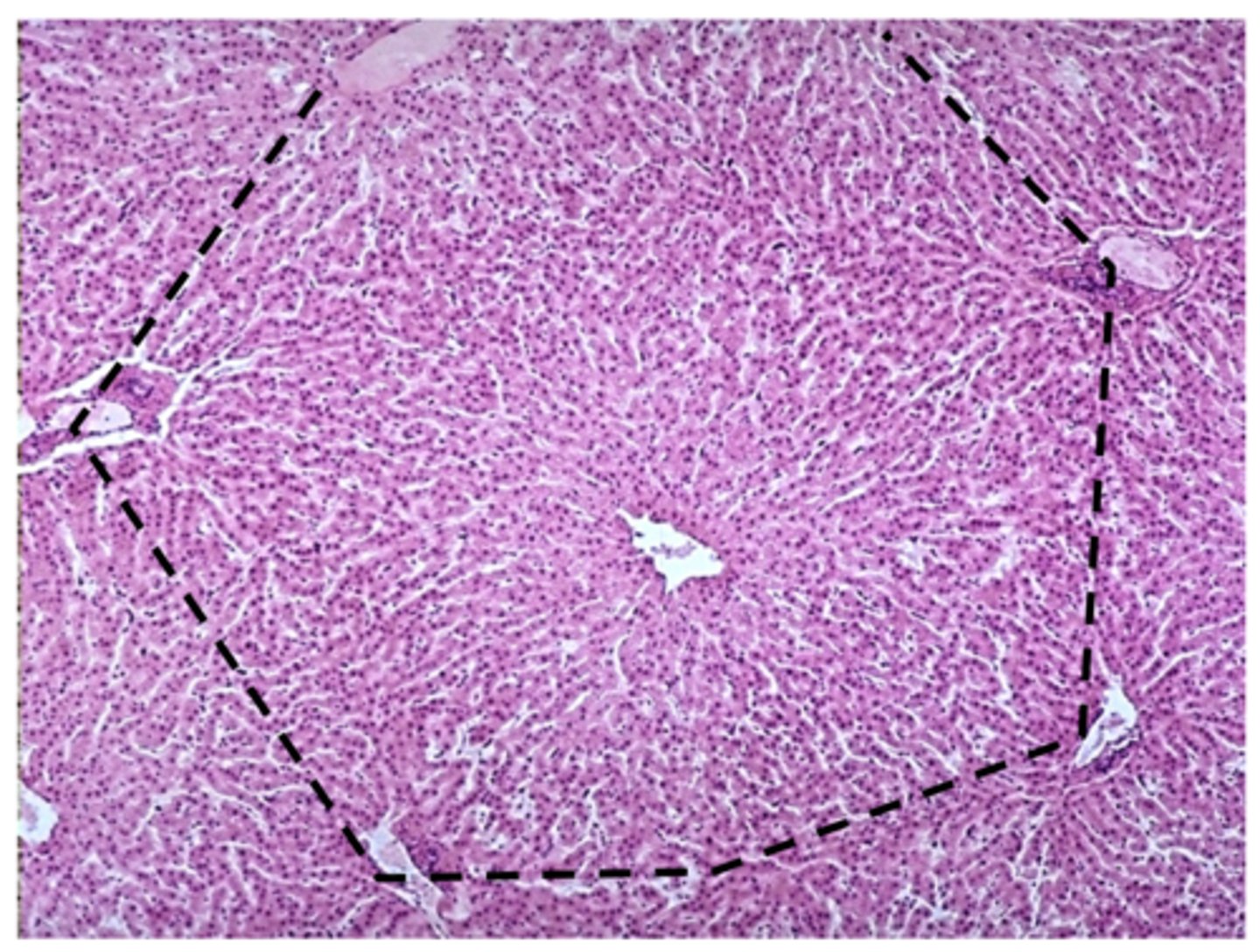 <p>what is this?</p>