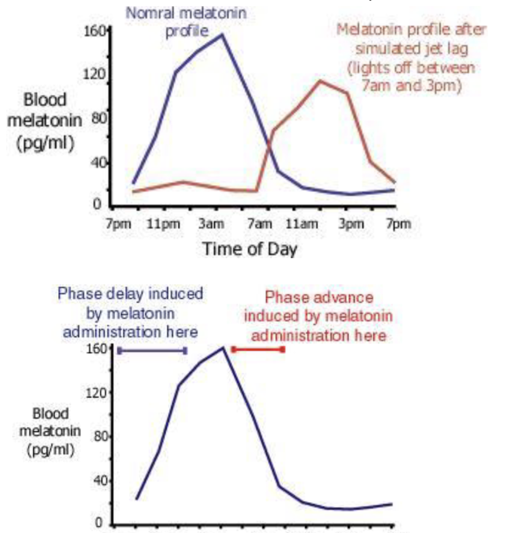 <p><span style="background-color: transparent;"><strong><span>fatigue and disorientation from rapid travel</span></strong><span> through</span><strong><span> time zones</span></strong><span> and exposure to a changed light-dark cycle.</span></span></p>