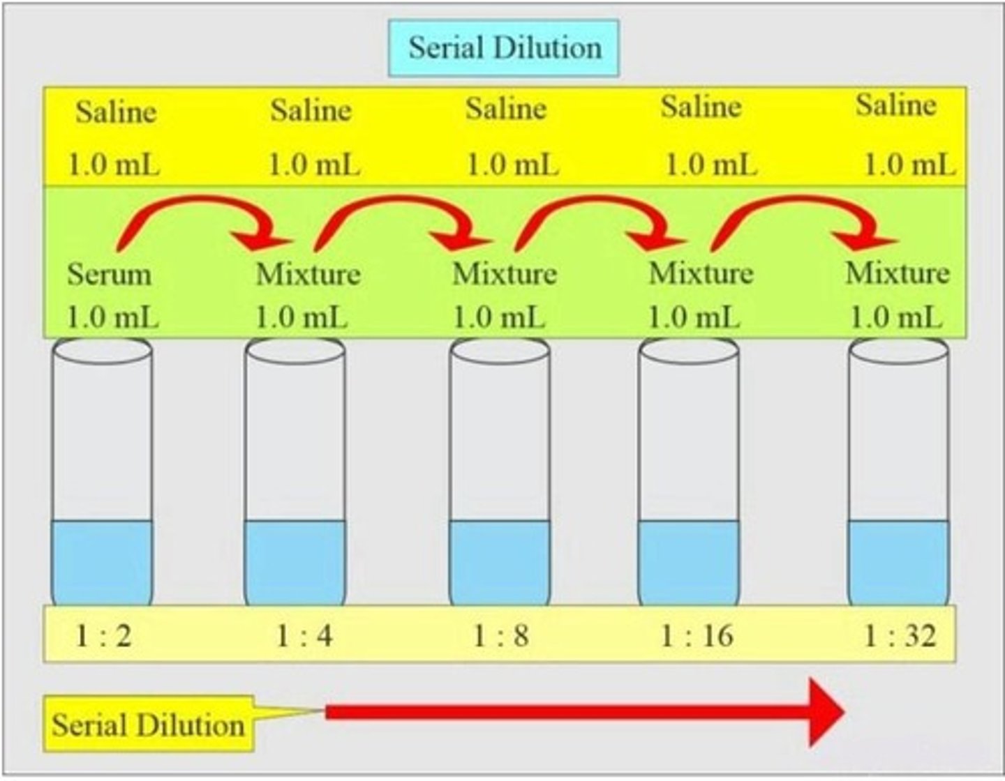 <p>1:10 dilution of a patient sample combines 1 milliliter of sample with 9 milliliters of distilled water. 1 part blood + 9 parts water = 1:10 dilution.</p>