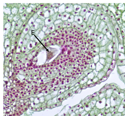 <p>what is this an example of</p>