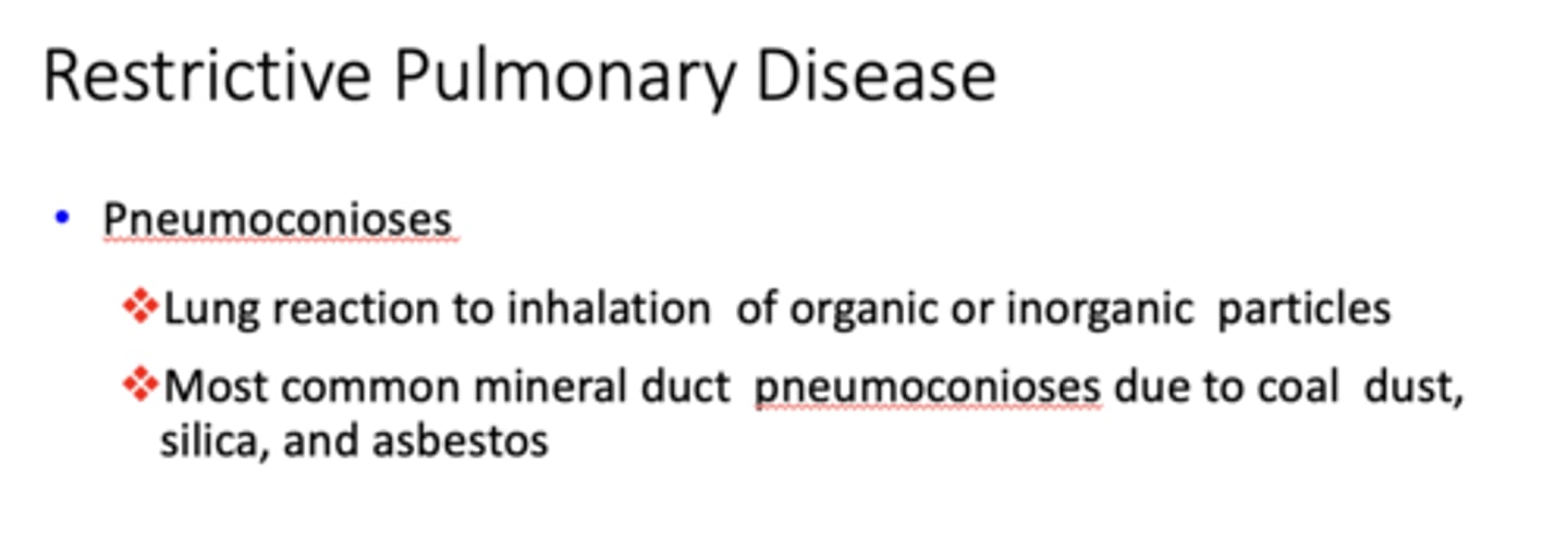 <p>Pneumoconioses</p>