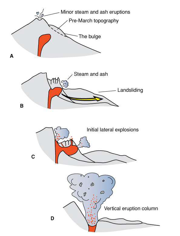 <ul><li><p>the collapse of a large portion of the volcano</p></li><li><p>Can lead to landslides</p></li><li><p>Results in lateral blasts</p></li><li><p>Magma in underground chamber released due to decompression</p></li></ul><p></p>