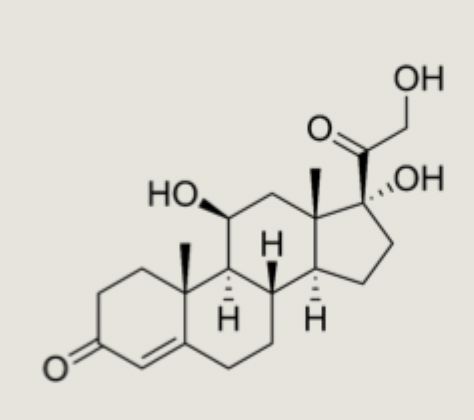 <ul><li><p>a steroid hormone, increases blood sugar, suppresses immune system, increases metabolism</p></li><li><p>increased cortisol raises performance during stress</p></li><li><p>people with depression may have elevated levels of cortisol</p></li></ul><p></p>