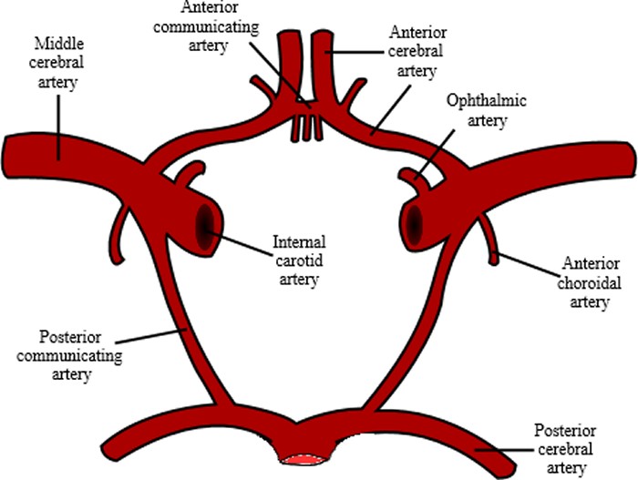 Top middle portion