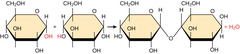 <p>dehydration synthesis</p>