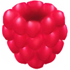 <p>Raspberry</p>
