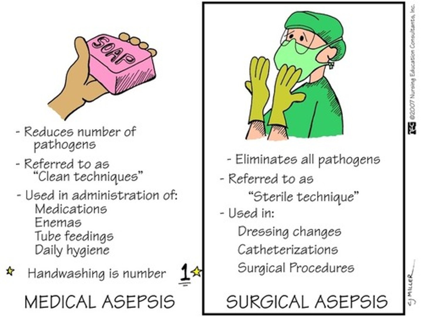 <p>absence of pathogens</p>