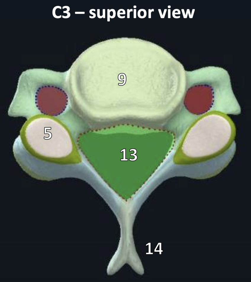 <p>structure #13</p>