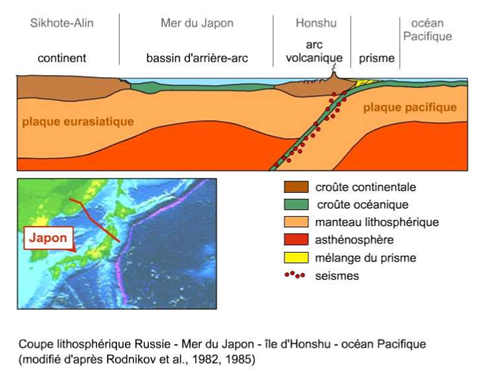 <p><span style="font-family: "Calibri", sans-serif;"><span>-</span></span><span style="font-family: "Times New Roman"; line-height: normal; font-size: 7pt;"><span>&nbsp;&nbsp;&nbsp;&nbsp;&nbsp;&nbsp;&nbsp;&nbsp;&nbsp; </span></span>Plongement de la plaque subductante (roll-back) induit une traction de la plaque supérieure dont la bordure peut se détacher du continent principal <span><span>à</span></span> génère bassin arrière-arc en extension</p><p class="MsoListParagraphCxSpLast"><span style="font-family: "Calibri", sans-serif;"><span>-</span></span><span style="font-family: "Times New Roman"; line-height: normal; font-size: 7pt;"><span>&nbsp;&nbsp;&nbsp;&nbsp;&nbsp;&nbsp;&nbsp;&nbsp;&nbsp; </span></span>Certaines plaques lithosphériques froides et dense en subduction jusqu’au noyau</p>