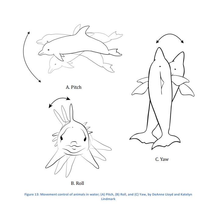 <p>Pitch: up and down motion<br>Yaw: Left-Right motion<br>Roll: how much they roll; rotational movement around the longitudinal axis </p>