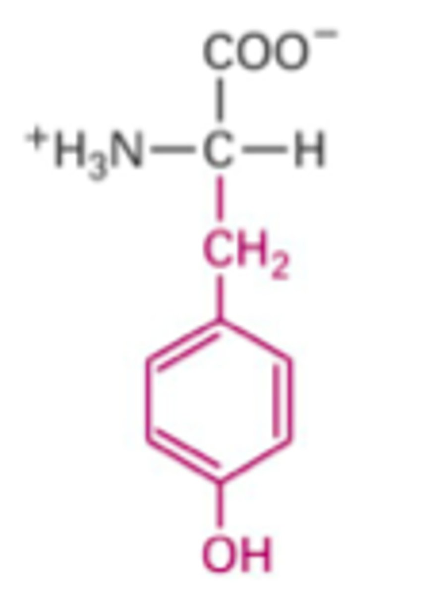 <p>What Structure is this?</p>