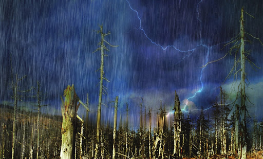 <p>Causas principales de la lluvia ácida:</p>