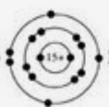 <p>What is the elemental symbol for this Bohr Model</p>