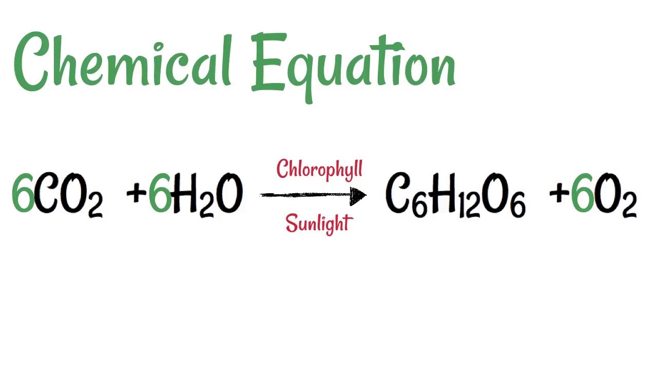 <p>6CO2 + 6H2O → C6H12O6 + 6O2. This means that the reactants, six carbon dioxide molecules and six water molecules, are converted by light energy captured by chlorophyll (implied by the arrow) into a sugar molecule and six oxygen molecules, the products.</p>