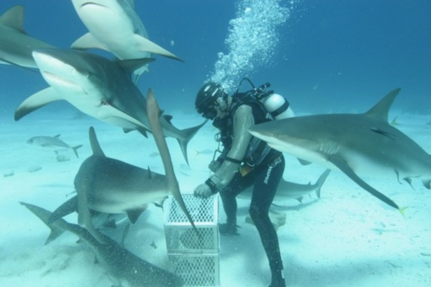 <p>on all sides, from all sides</p>