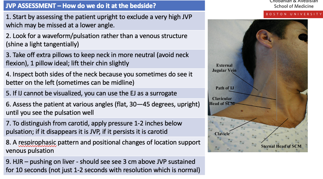 <img src="https://knowt-user-attachments.s3.amazonaws.com/18b18b6d-433c-4d0c-ac58-23ba59a61b7f.png" data-width="100%" data-align="center"><p></p>