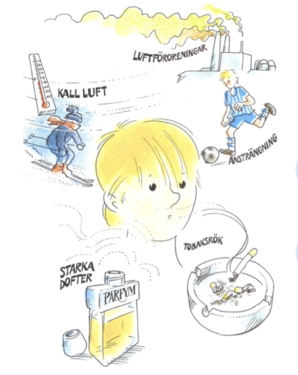 <p>Vid inflammation i luftvägarna får man bronkiell hyperreaktivitet. Det innebär en ökad känslighet för olika <strong>irritanter</strong> som exempelvis kyla, kemikalier eller allergener. </p>