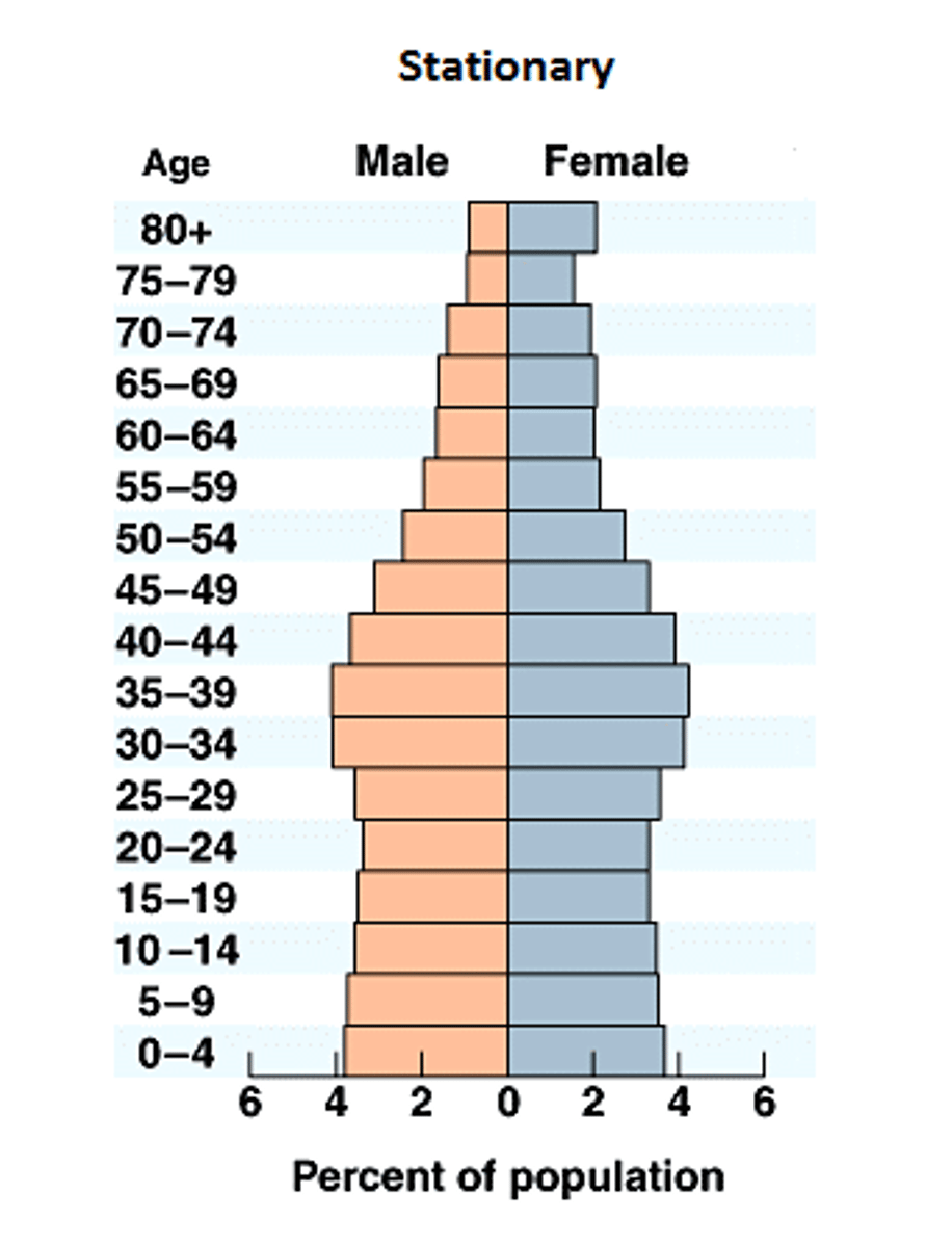 <p>The average number of children needed to replace both parents and keep the population stable with no increase or decrease.</p><p>-TFR in the country needs to be 2.1. If a country is above or below 2.1, they will experience population shifts.</p>