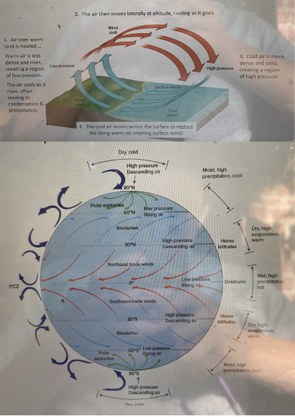 …convection cells, characterized by elevated precipitation and warm (air/water) rising in one location, and dry climates and cold (air/water) sinking in another