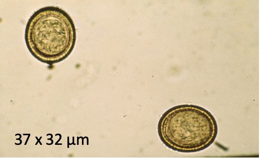 <p>What does this image show?</p>