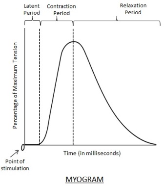 <p>latent period</p>