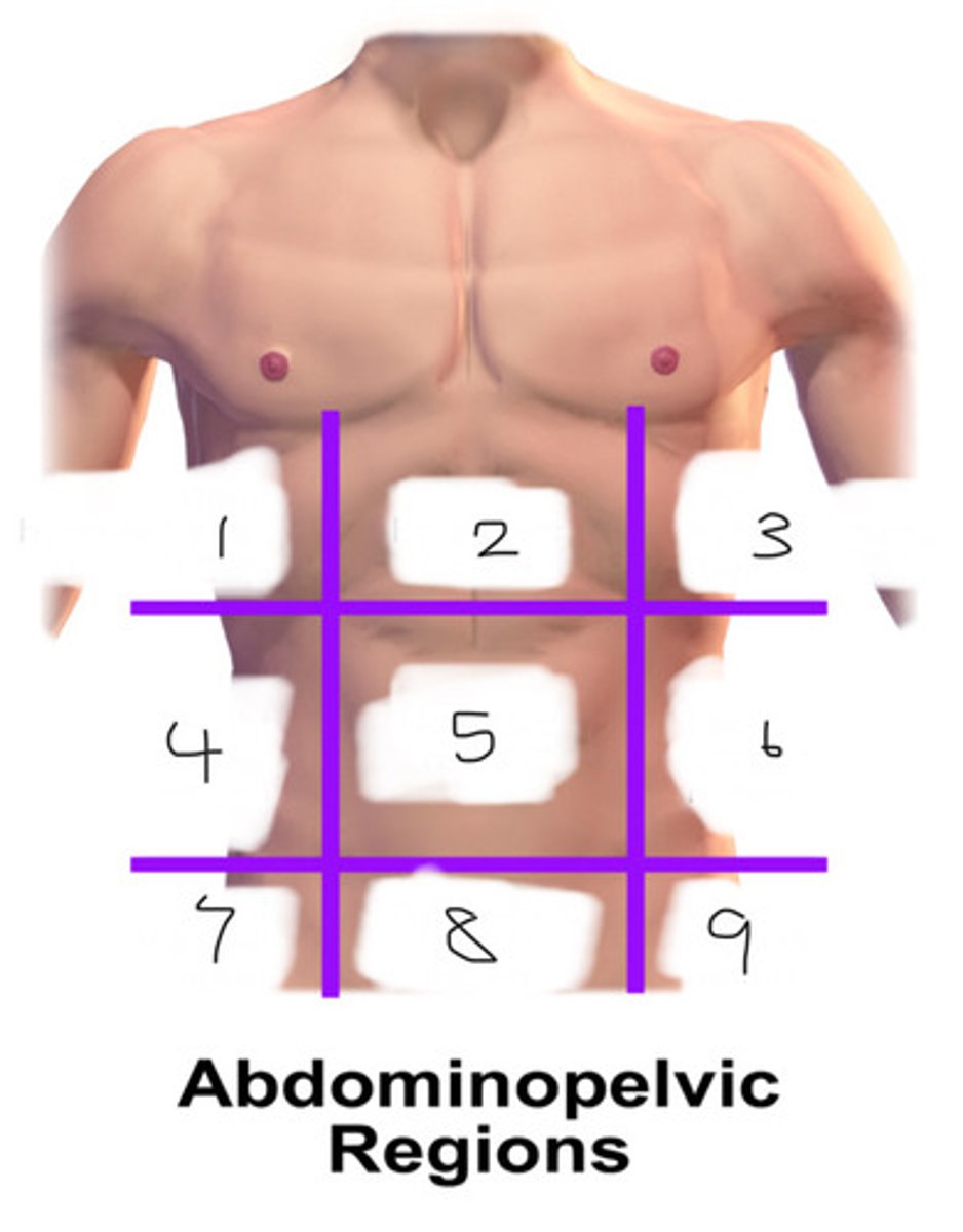 <p>#5</p>