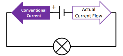 <ul><li><p>positive</p></li><li><p>negative</p></li></ul><p></p>