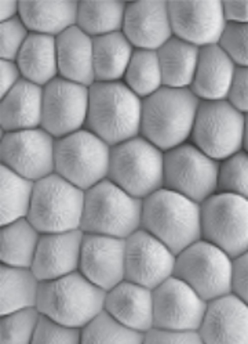 <p>What is this?</p>