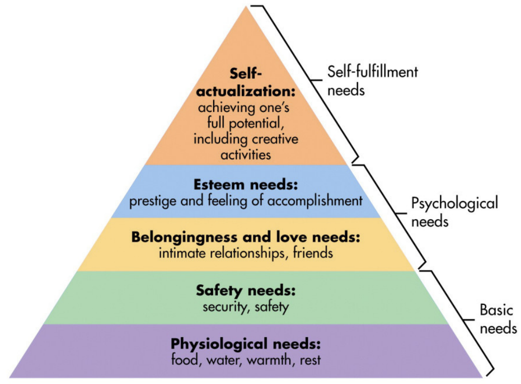 <p>image: Maslow&apos;s Hierarchy of needs</p><ul><li><p>most important internal drive is to achieve one&apos;s full potential- self actualization is the ultimate goal in human life</p></li></ul>