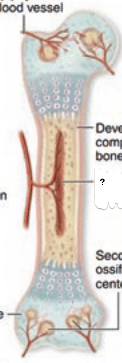 <p>Step 4.&nbsp;</p>