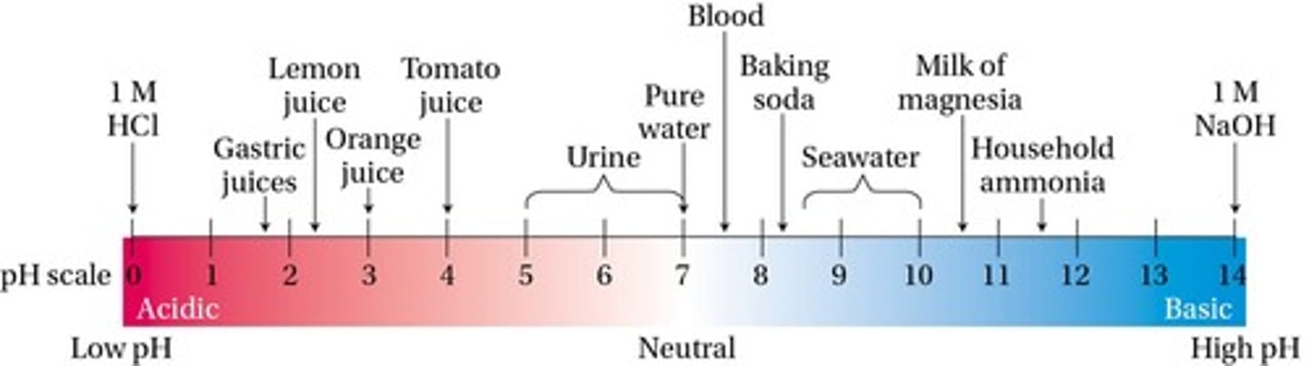 <p>HCl (g) → H+ (aq) + Cl- (aq) in water.</p>