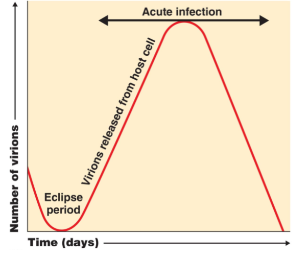 the top is where we either die or defeat the virus