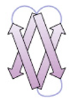 <p>stacked β  strands or sheets</p>