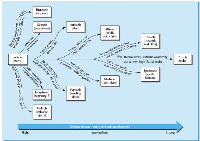 <p><strong>arranging soils by weathering</strong></p>