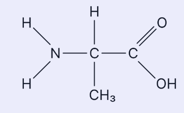 <p>EQ : <span><span>This is the amino acid alanine. Draw a diagram of the dipeptide formed when two molecules of alanine are joined together. </span></span><strong>Label the bond and show anything else that is produced in this reaction (3 marks)&nbsp;</strong></p>