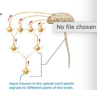 <p>what is this an image of?</p>