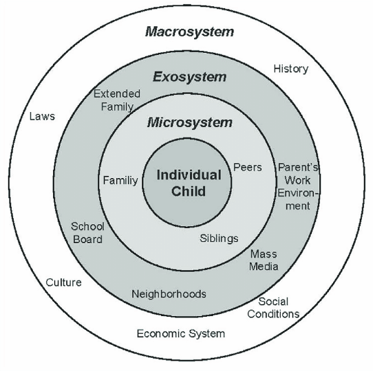 <p>Potential stressors that may dictate an individual’s degree of acculturation</p><ul><li><p>Microsystem → Immediate family members</p></li><li><p>Mesosystem → Relationships outside the immediate family</p></li><li><p>Exosystem → Major societal institutions</p></li><li><p>Macrosystem → Cultural and societal norms/expectations</p><p></p><p></p></li></ul><p></p>