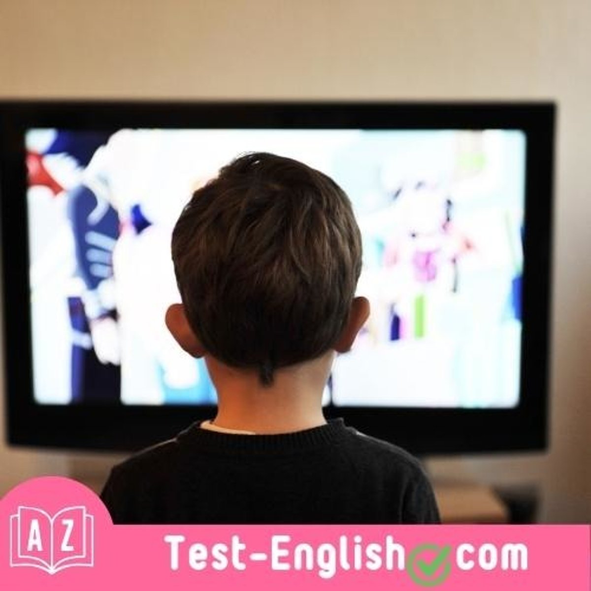 <p>The programme has over 200,000 regular _____s.</p>
