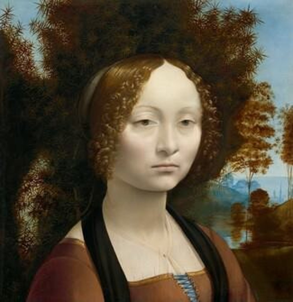 <p>A drawing by Leonardo demonstrating Renaissance ideals of proportion, balance, and harmony.</p>