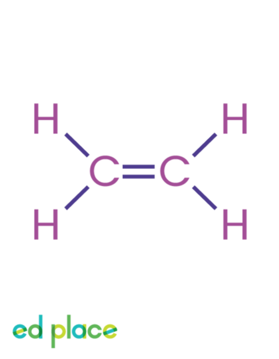 <p>A compound containing only carbon and hydrogen that contains a carbon-carbon double bond</p>