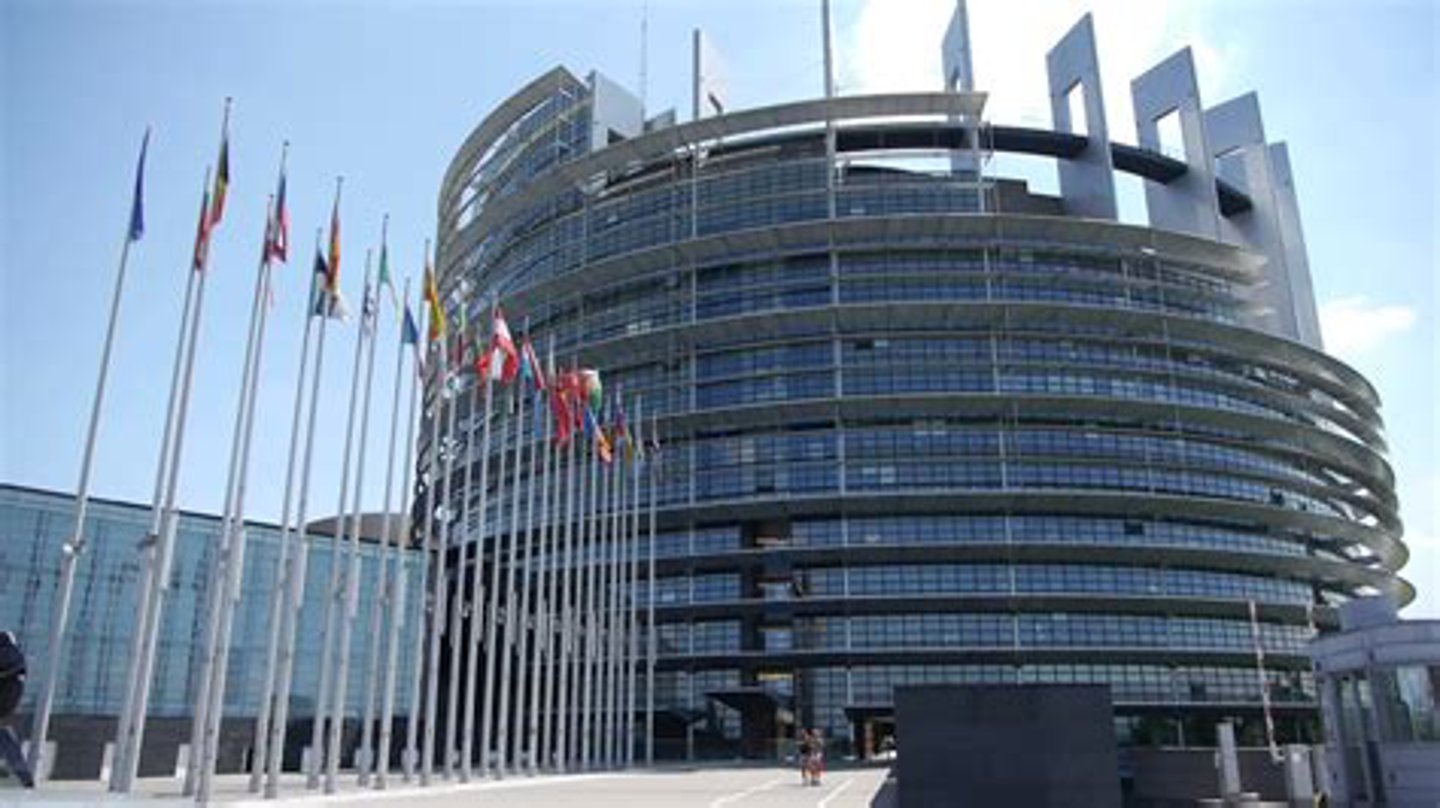 <p>Elected EU body that consults on issues proposed by European Commission.</p>