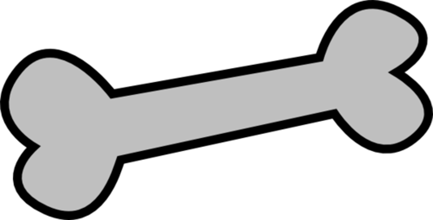 <p>Bone</p>