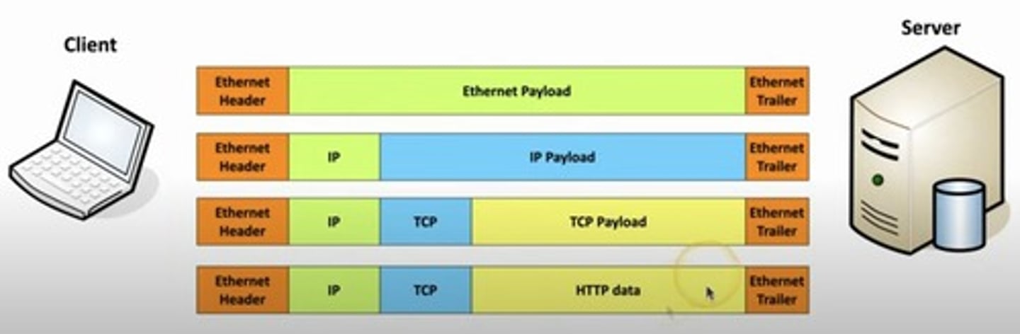 <p>A data unit transferred across a network. Consists of several parts, such as the sending/receiving MAC addresses, the data being sent, and the frame check sequence.</p>