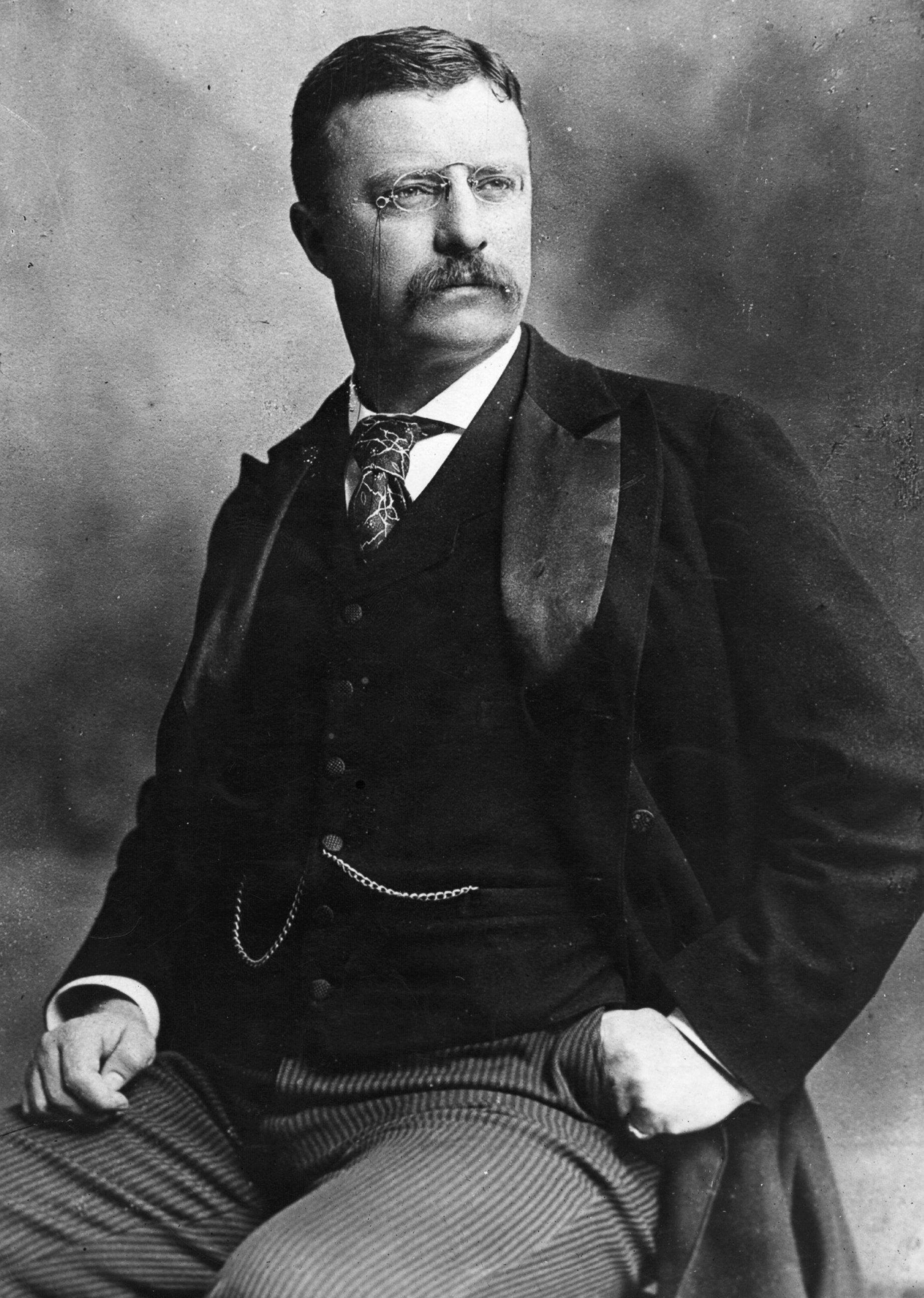 <p>Theodore Roosevelt</p>