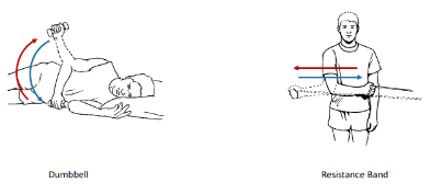 <p>These 2 isotonic exercises are called what?</p>