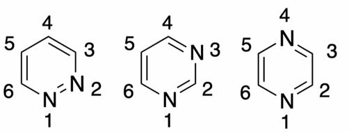 <p>Benenne die Moleküle</p>