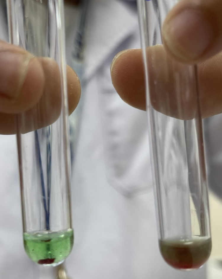 <p>Hình trên là kết quả của nghiệm pháp Coombs, cho biết ống nào là dương tính và ống nào là âm tính ?</p>