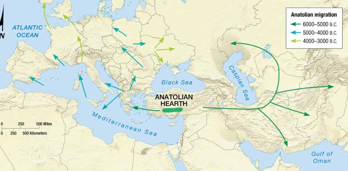 <ul><li><p>Hearth located in present day Turkey (Asia Minor)</p></li><li><p>Nomadic group called the <strong>Anatolians</strong></p></li><li><p>Farmers who migrated/diffused language into Europe and Asia using agricultural (farming) methods</p></li></ul><p></p>