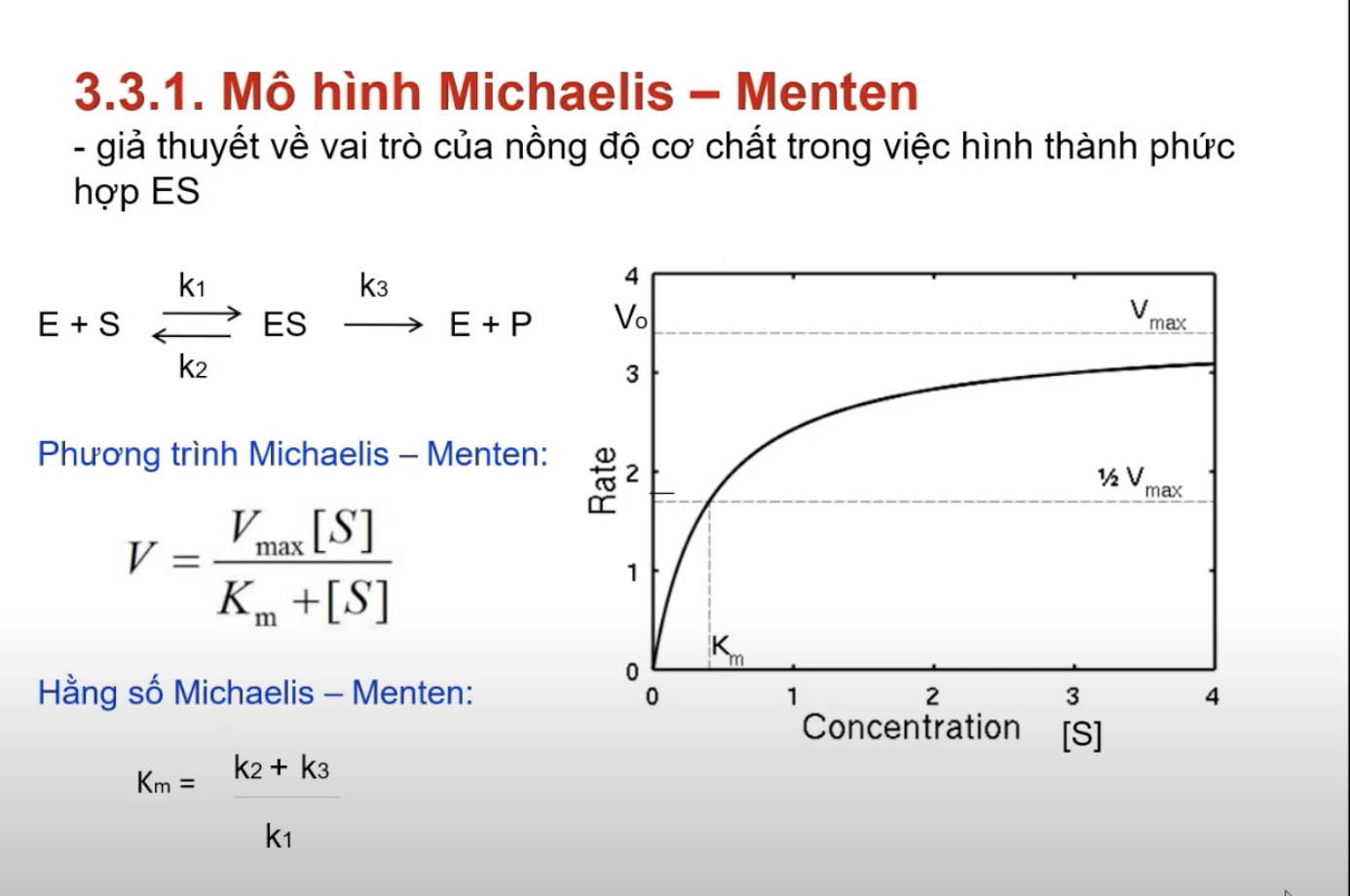 <p><strong>Phức hợp ES trong sơ đồ Michaelis – Menten biểu diễn điều gì?</strong></p><p>A. Phản ứng phân giải enzyme</p><p>B. Sự kết hợp đồng bộ giữa enzyme và cơ chất</p><p>C. Sự kết hợp thuận nghịch giữa enzyme và apoenzyme </p><p>D. Sự kết hợp thuận nghịch giữa enzyme và cơ chất</p>